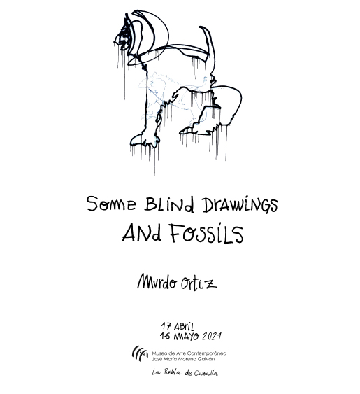 some_blind_drawings_and_fossils